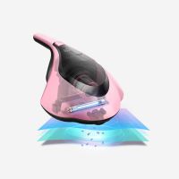 小型床褥除螨仪D-607